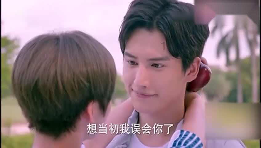 他以裁缝身份为掩护，拉姐弟入伍，姐姐壮烈牺牲，弟弟成为将军