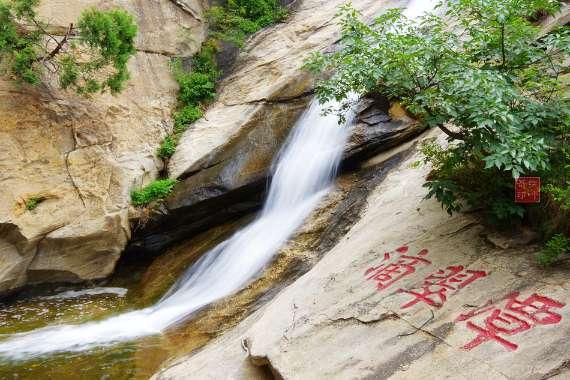 跑步“画”龙迎新春