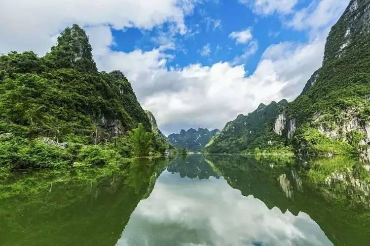 红色鹦鹉逃脱
